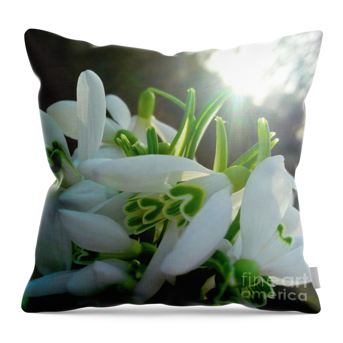 Sunset Throw Pillow featuring the photograph Spring Flowers Enlighted with Sun Rays by Leonida Arte