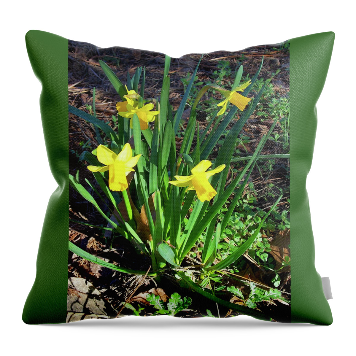 Flowers Throw Pillow featuring the photograph Spring Flowers by Matthew Seufer