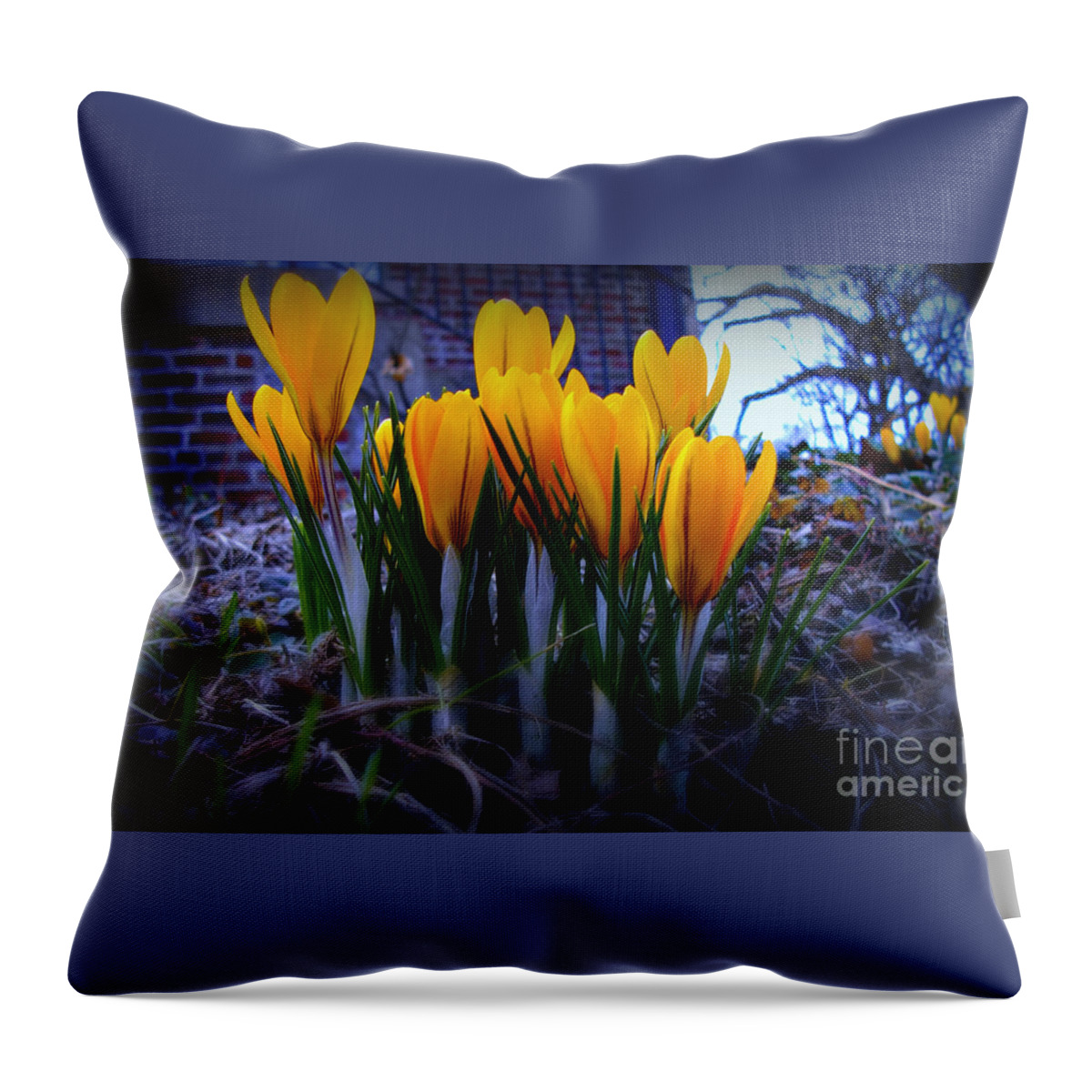 Crocus Blooms Throw Pillow featuring the photograph Spring Has Sprung by Frank J Casella