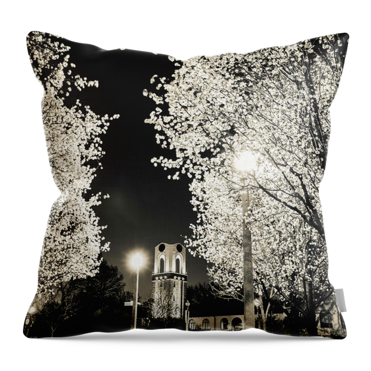 Forest Park Throw Pillow featuring the photograph Spring in Forest Park by Randall Allen