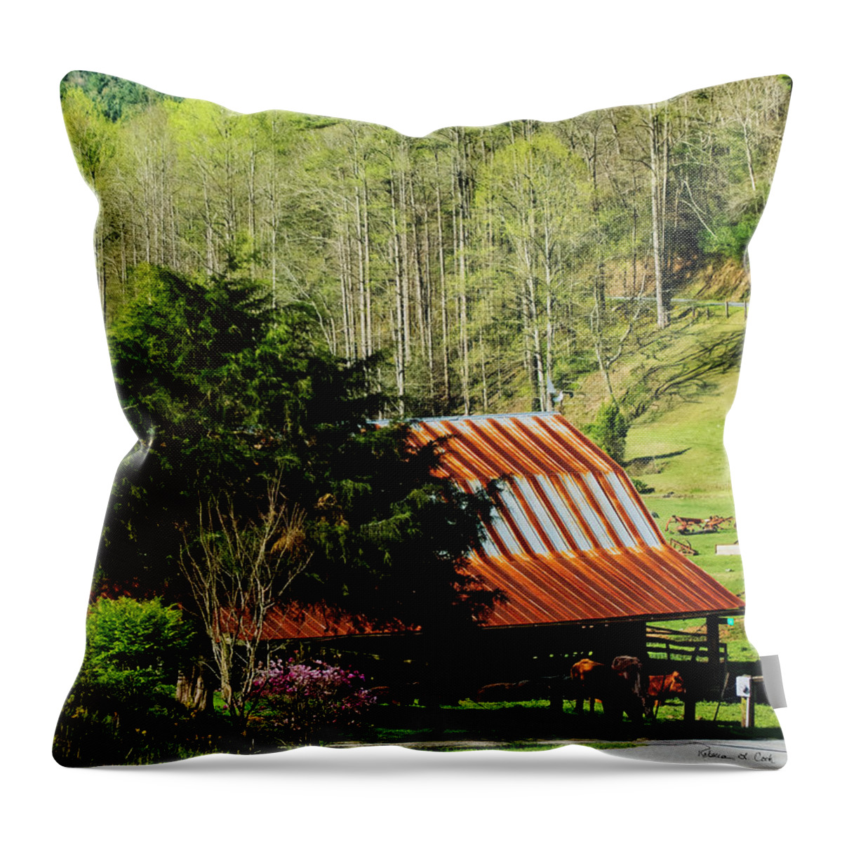 Spring On Bobs Creek Road North Carolina Throw Pillow featuring the photograph Spring On Bobs Creek Road North Carolina by Bellesouth Studio