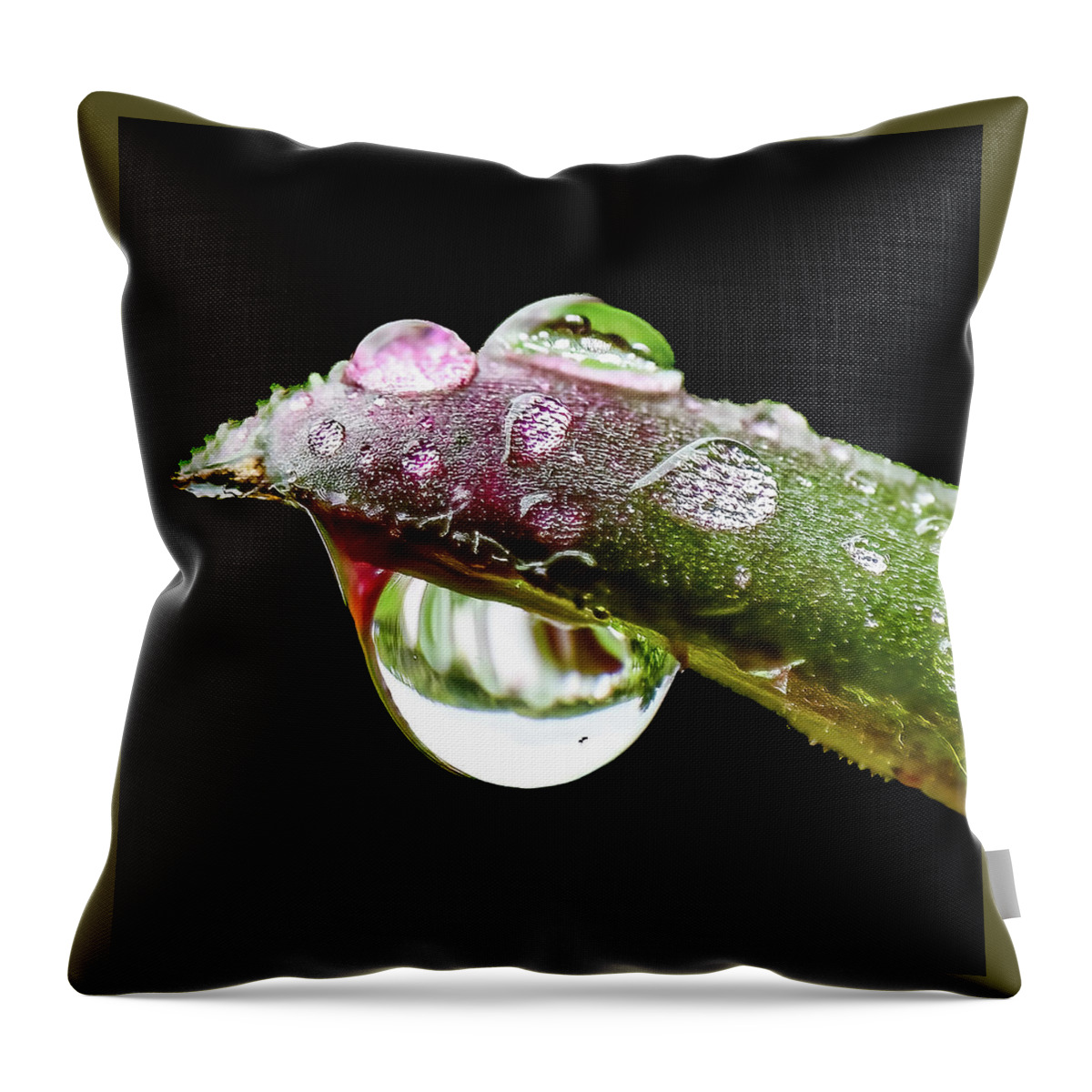 Close Throw Pillow featuring the photograph Spring Rain by Brian Shoemaker