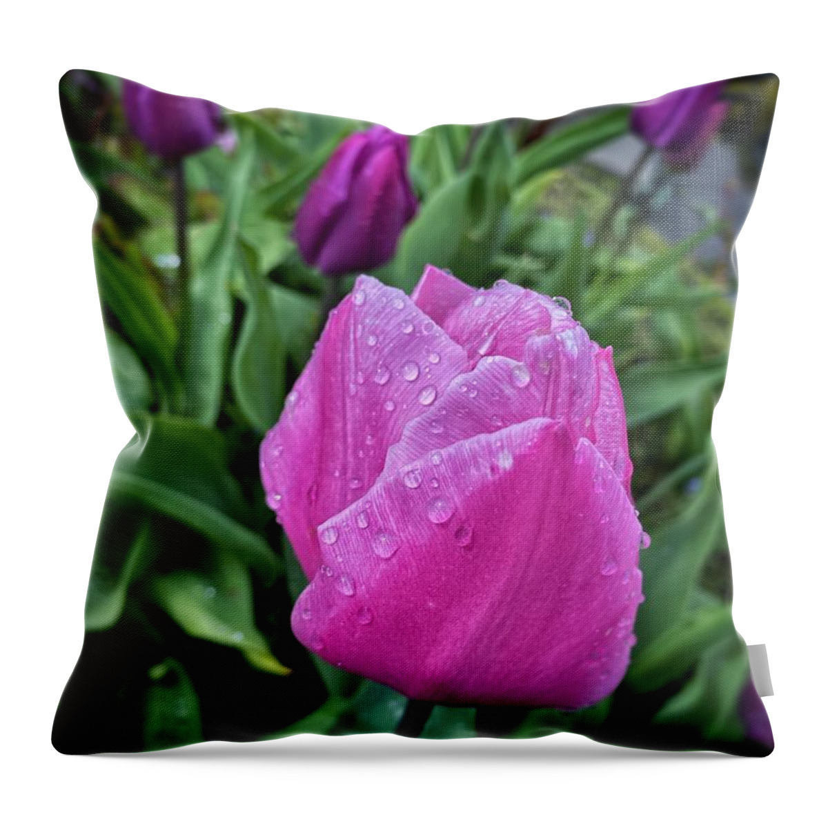 Pink Throw Pillow featuring the photograph Spring Raindrops on Pink Tulips by Jerry Abbott