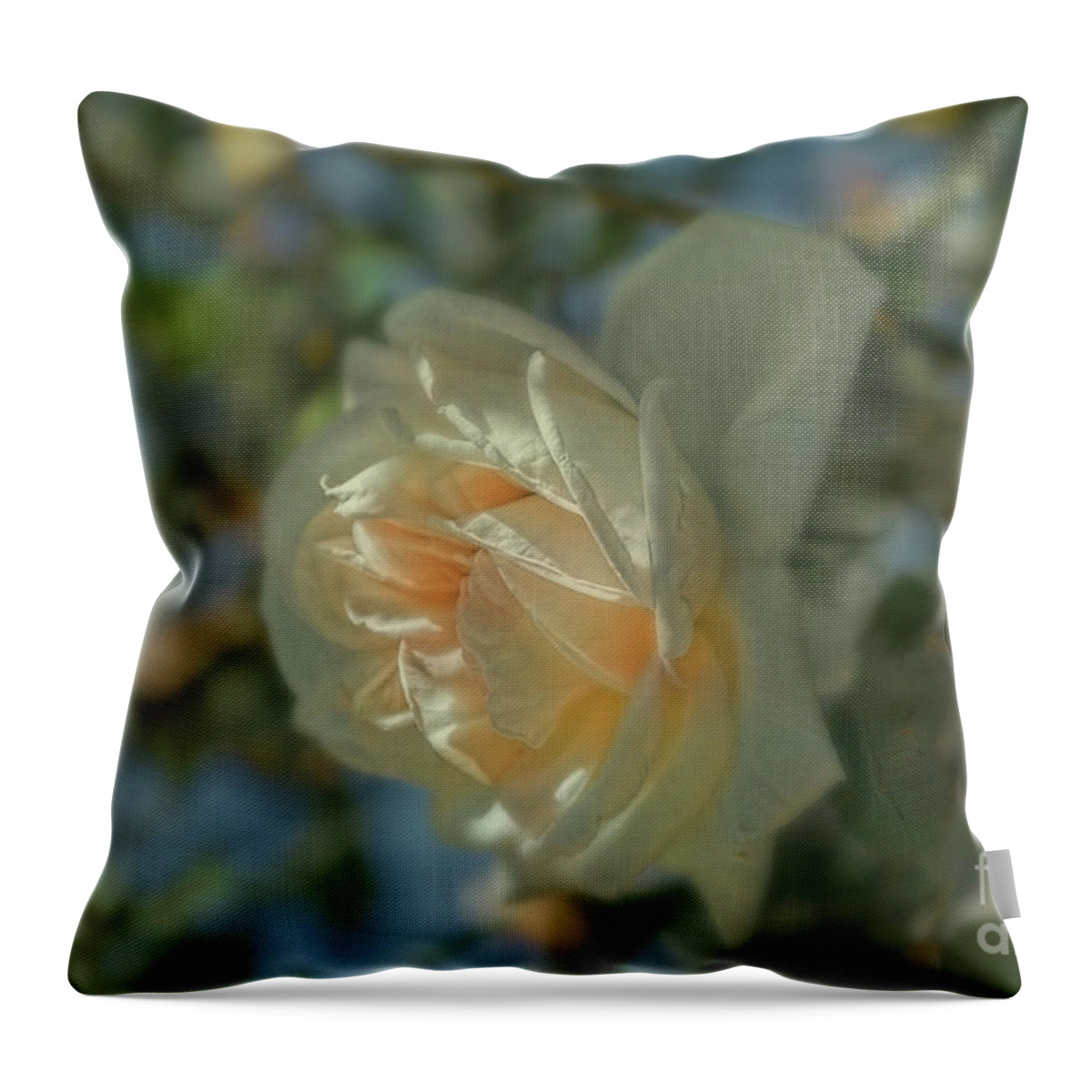 Rose Throw Pillow featuring the photograph Spring Rose by Elaine Teague