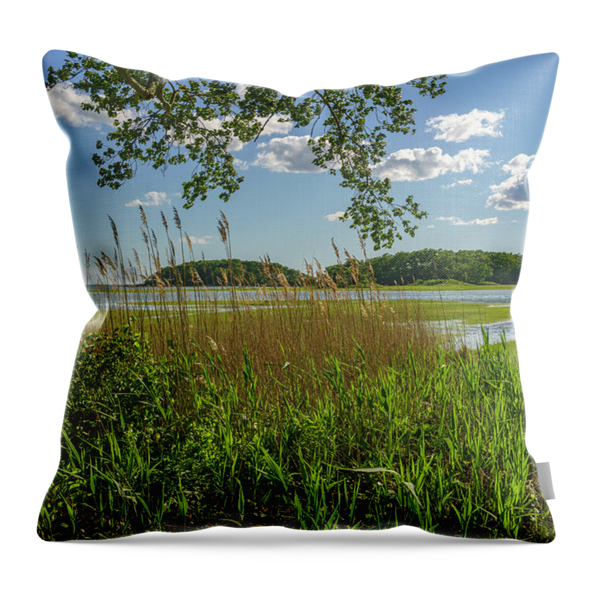 Connecticut Throw Pillow featuring the photograph Spring Salt Marsh at High Tide by Marianne Campolongo