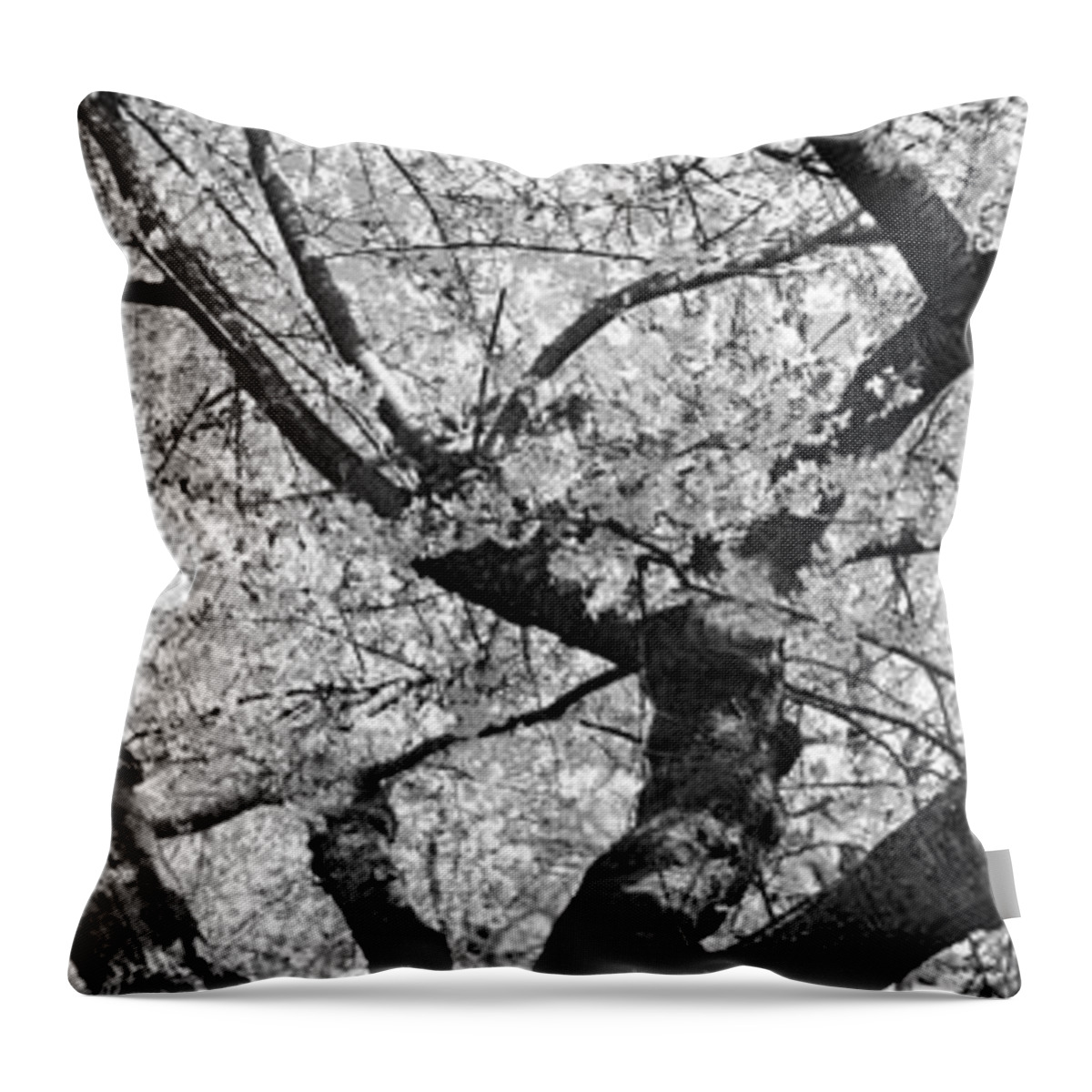 Cherry Trees Throw Pillow featuring the photograph Spring - Shades of Spring by Mike Savad