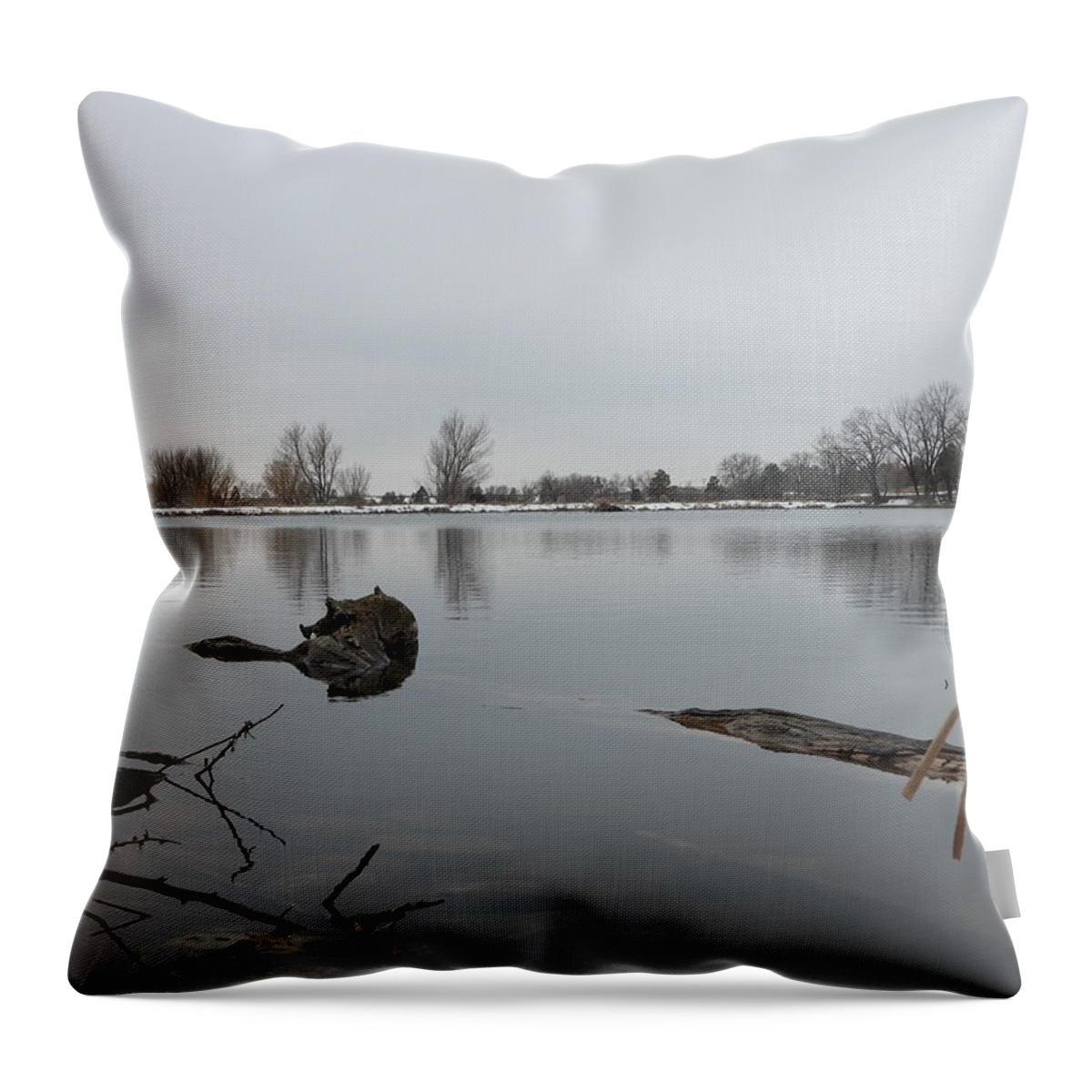 Pond Throw Pillow featuring the photograph Spring Snow at the Dickinson Dike by Amanda R Wright