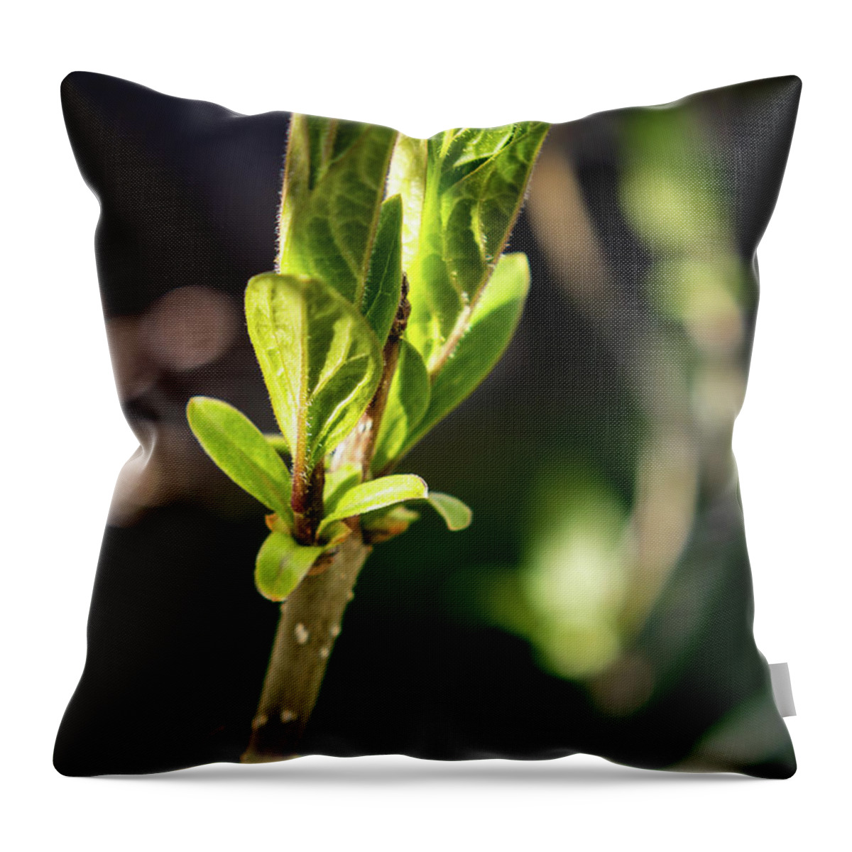 Blossom Throw Pillow featuring the photograph Spring by Thomas Nay