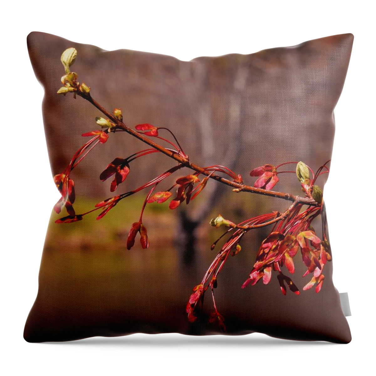 - Spring Tree 2 Throw Pillow featuring the photograph - Spring Tree 2 by THERESA Nye