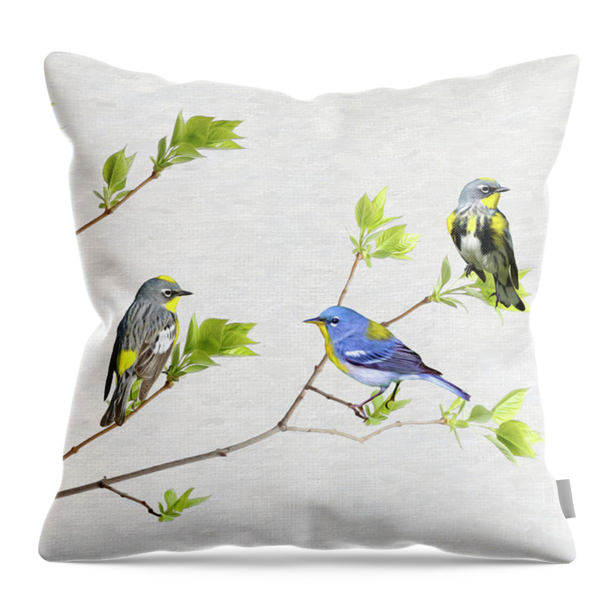 Warbler Birds Throw Pillow featuring the photograph Spring Warblers by Laura D Young