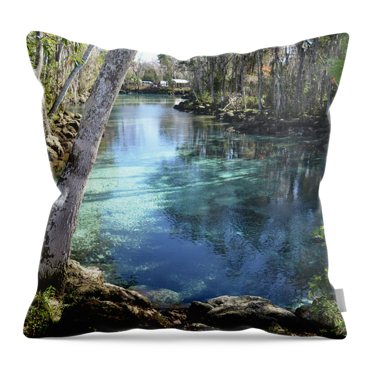 Three Sisters Springs Throw Pillow featuring the photograph Spring Water at Three Sisters by Aimee L Maher ALM GALLERY