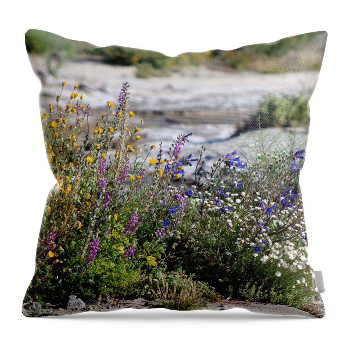 Yellow Throw Pillow featuring the photograph Spring Wildflowers at the Coachella Valley Wildlife Preserve by Colleen Cornelius
