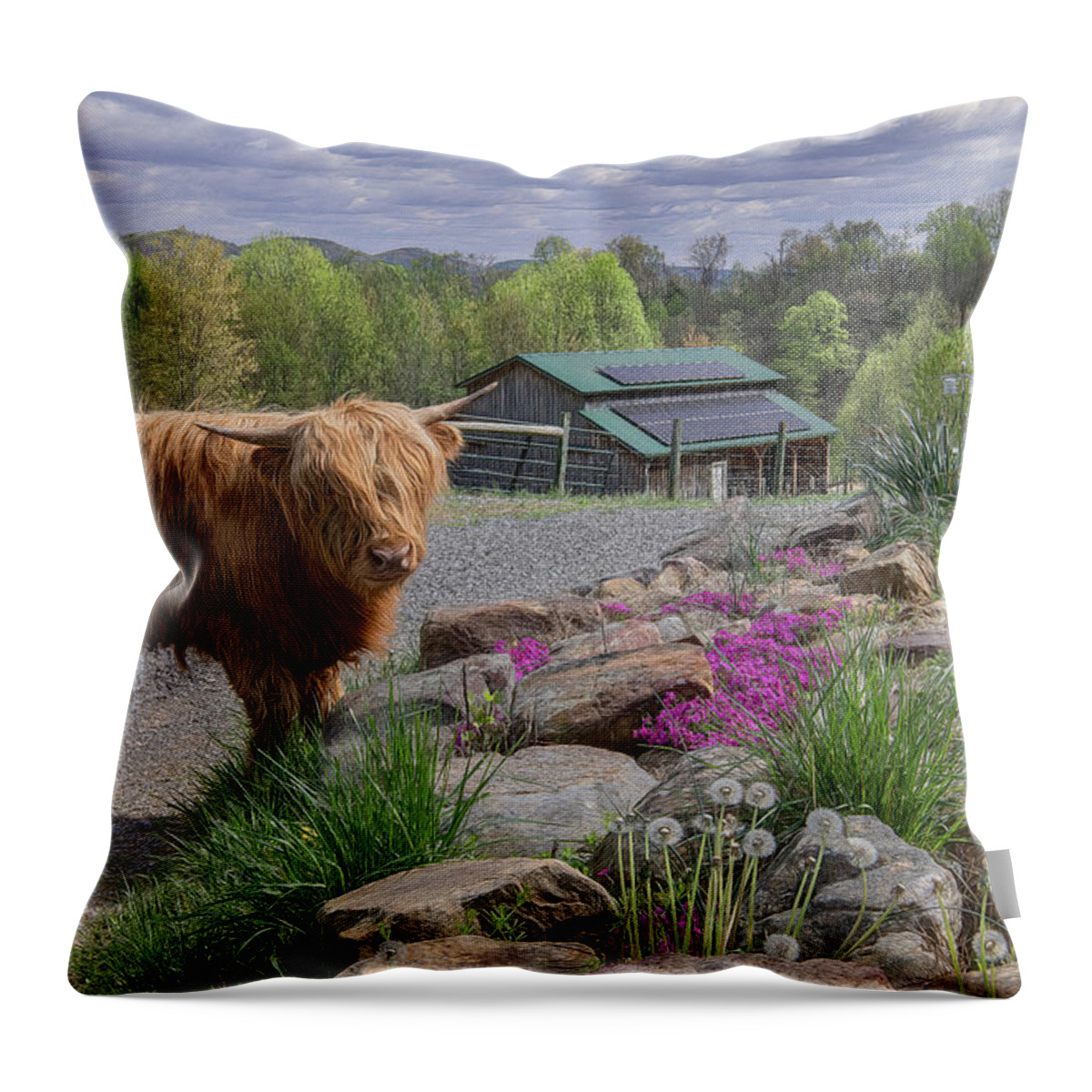 Tennessee Throw Pillow featuring the photograph Springtime at Elm Hollow Farm by Marcy Wielfaert