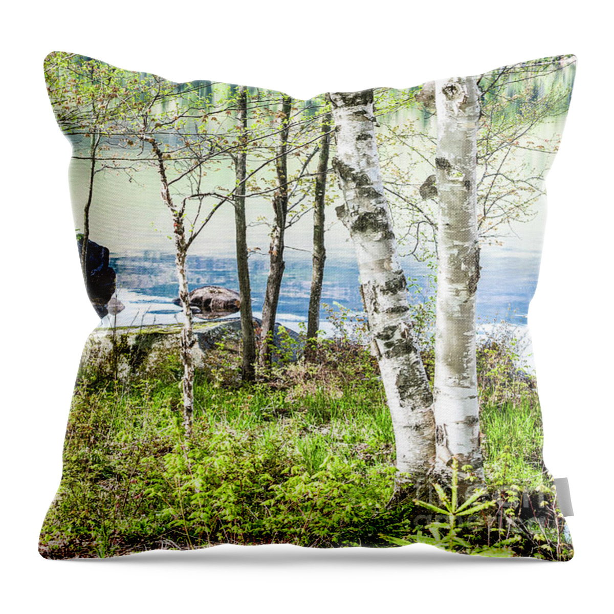 Lake Throw Pillow featuring the photograph Springtime at the Lake by Marie Fortin