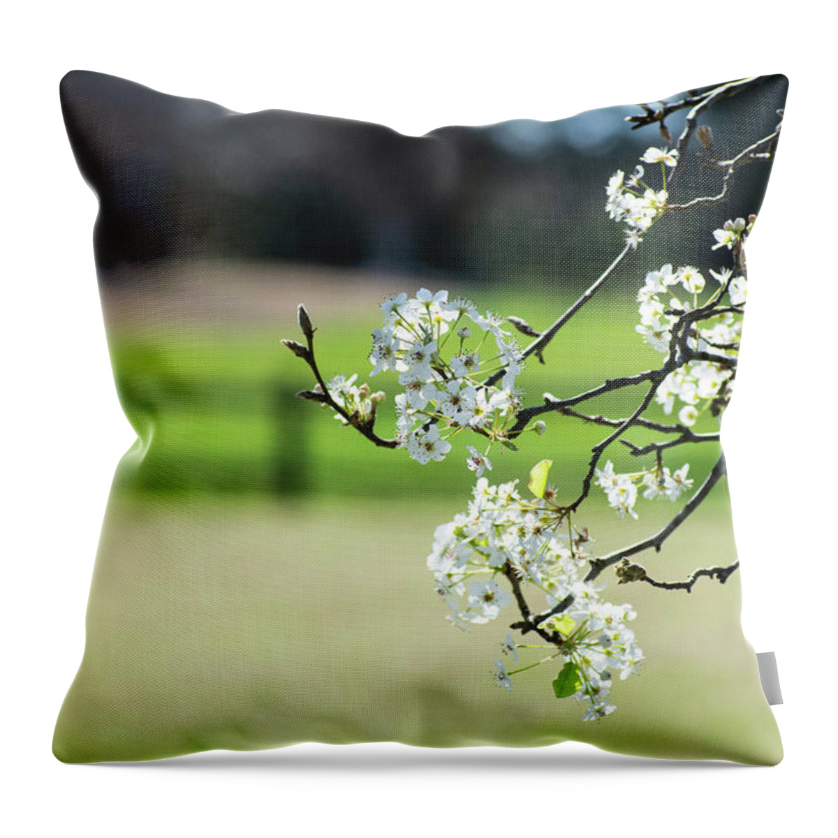 Bradford Pear Throw Pillow featuring the photograph Springtime in Montgomery by Mary Ann Artz