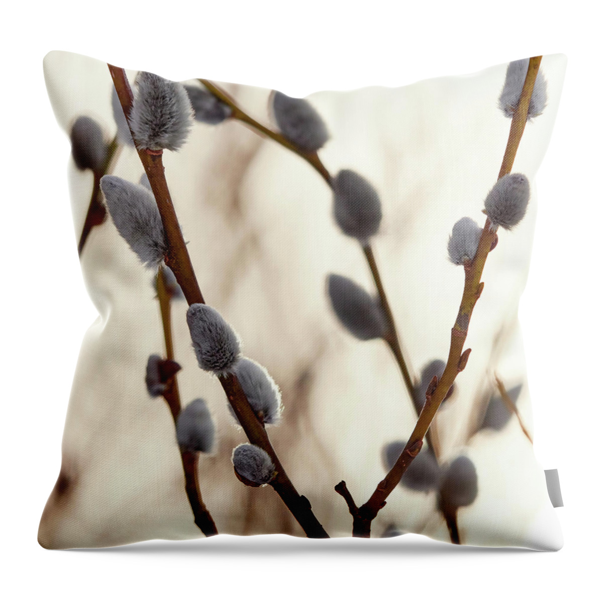 Finland Throw Pillow featuring the photograph Springtime Pussy willows square by Jouko Lehto