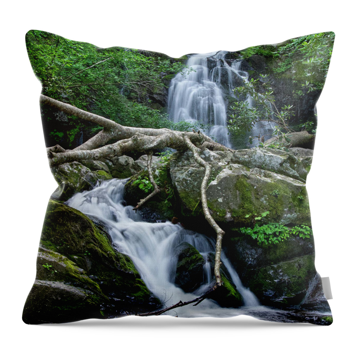 Spruce Flats Falls Throw Pillow featuring the photograph Spruce Flats Falls 20 by Phil Perkins