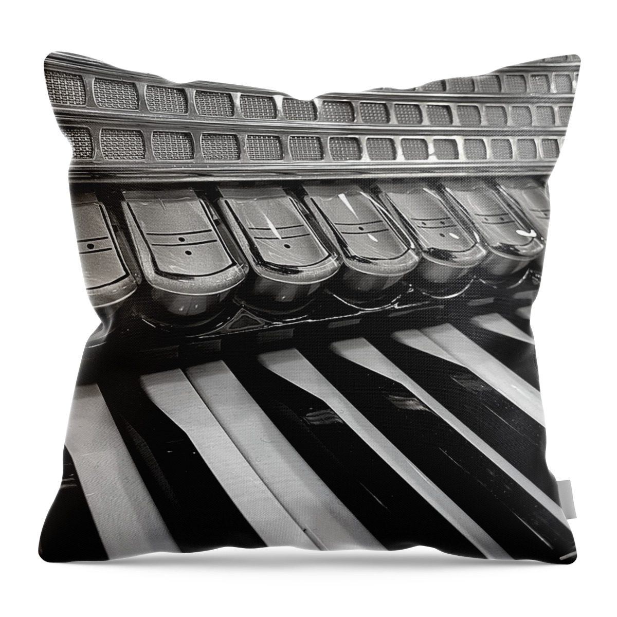 Hohner Throw Pillow featuring the photograph Squeezebox 1 BW by Lee Darnell