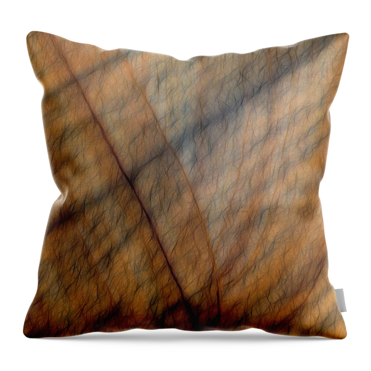 Rock Throw Pillow featuring the photograph Squiggles by Elaine Teague