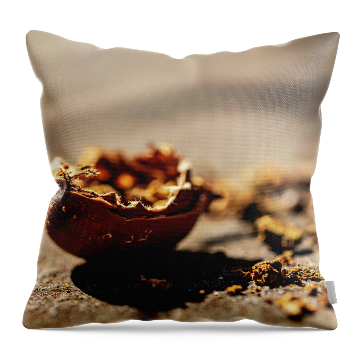 Nature Throw Pillow featuring the photograph Squirrel Lunch by Amelia Pearn