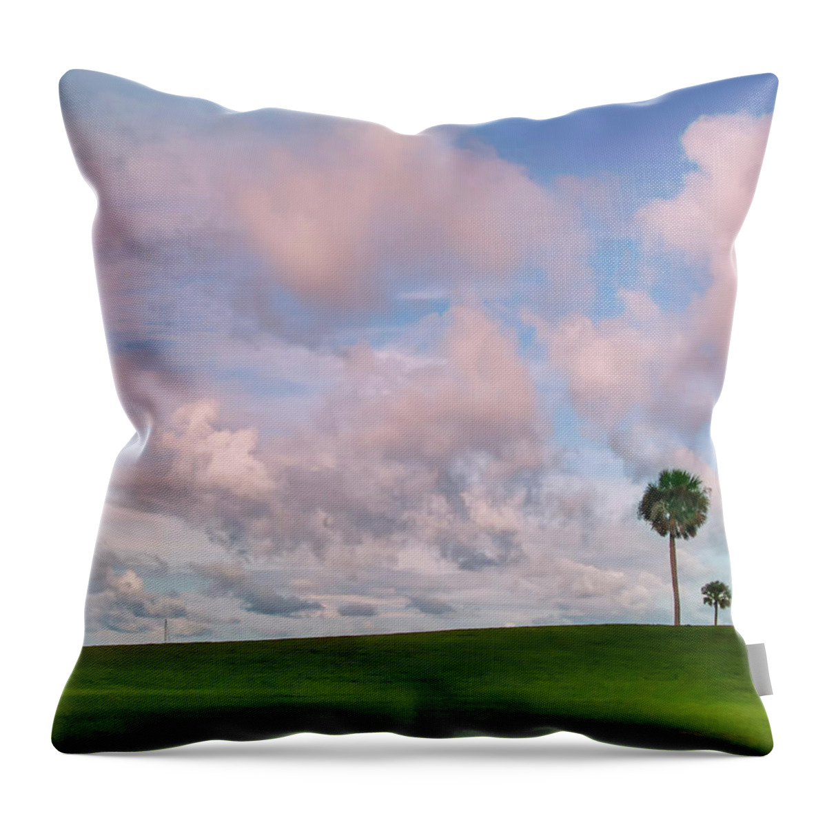 St. Augustine. Florida Throw Pillow featuring the photograph St. Augustine view by Carolyn D'Alessandro
