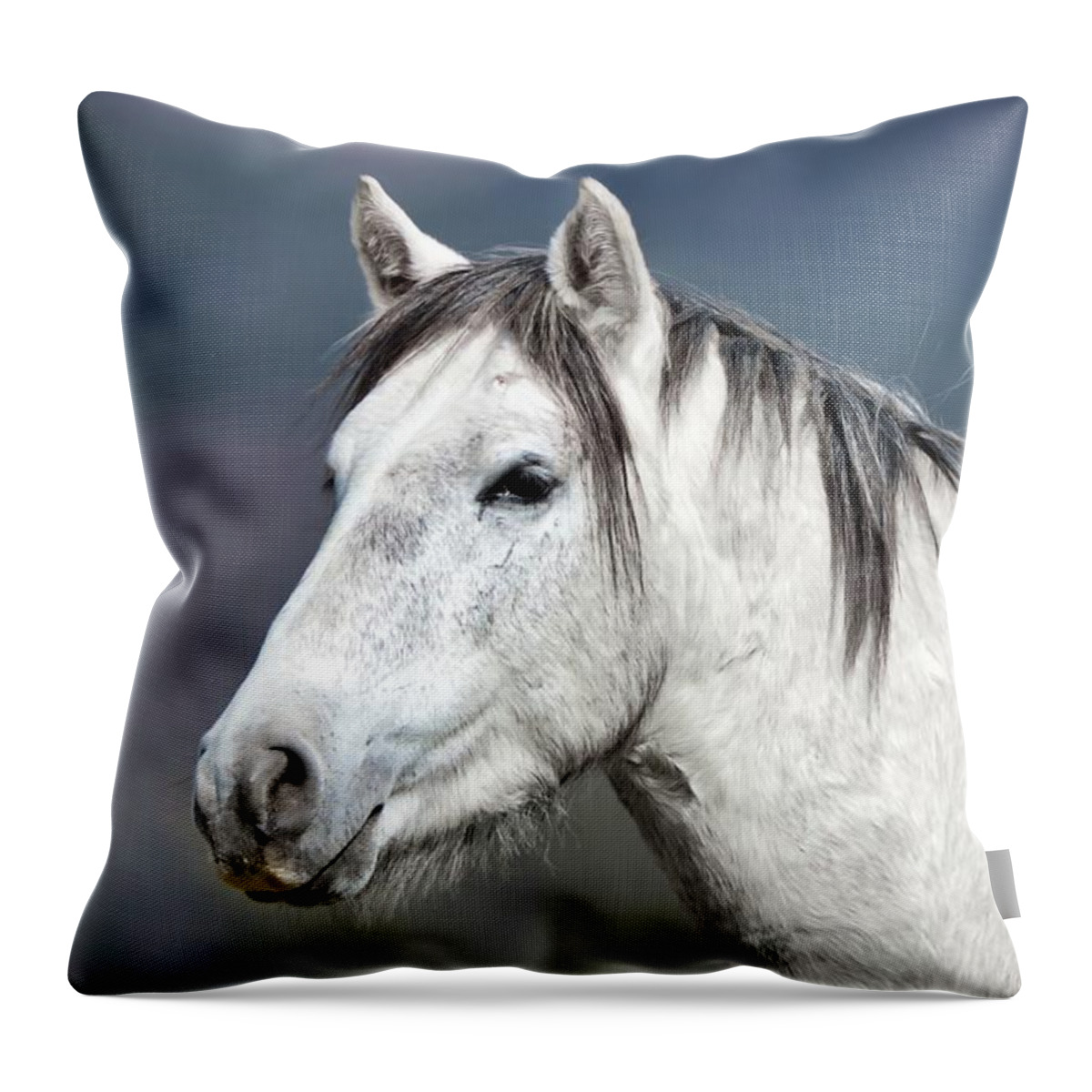 Wild Horses Throw Pillow featuring the photograph Stallion Portrait by American Landscapes