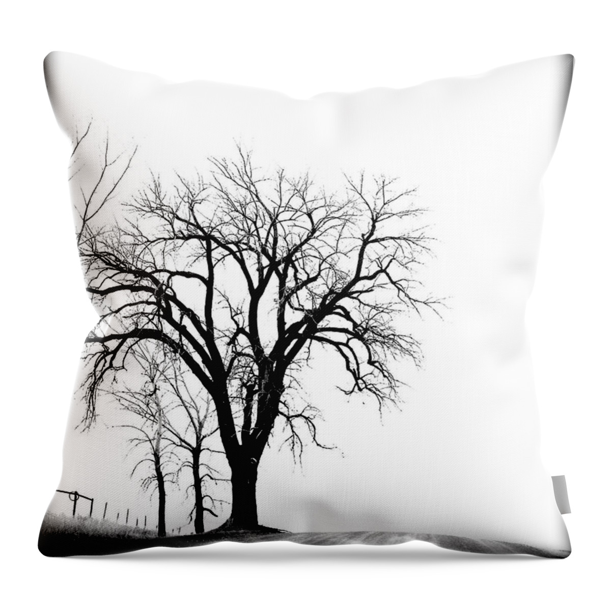 Trees Throw Pillow featuring the photograph Standing Along The Road by Amanda R Wright