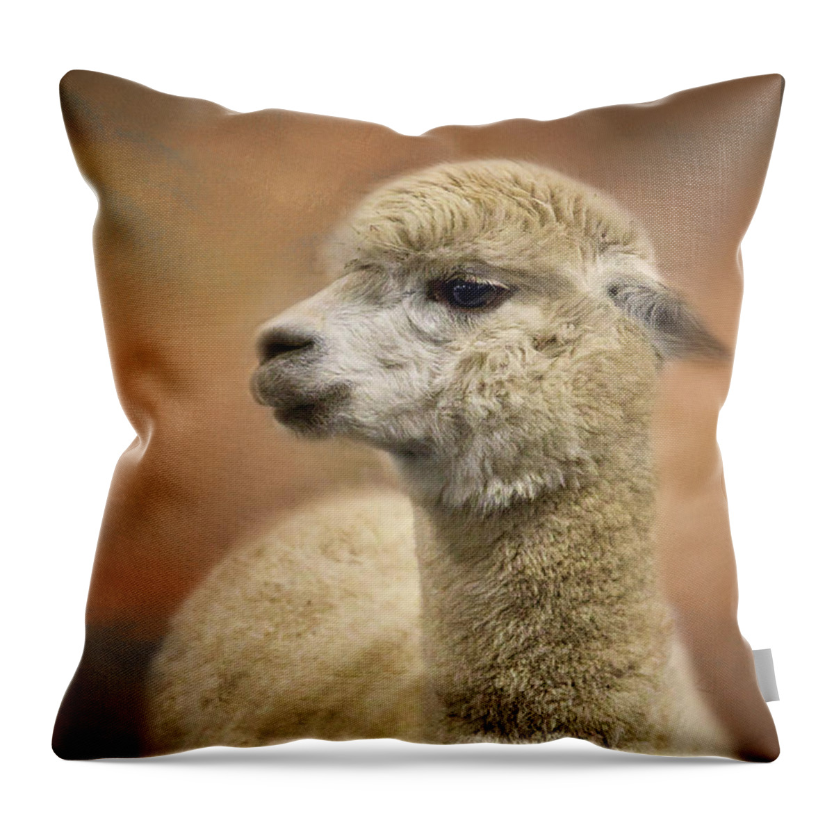 Alpaca Throw Pillow featuring the photograph Standing Proudly by Amy Dundon