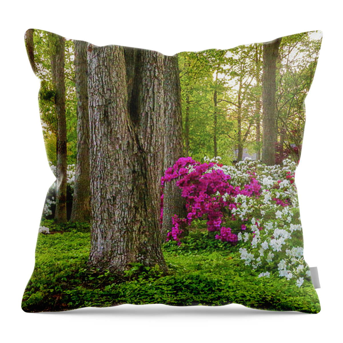 Azaleas Throw Pillow featuring the photograph Standing Tall Amongst the Azaleas in Hampton Roads Virginia by Ola Allen