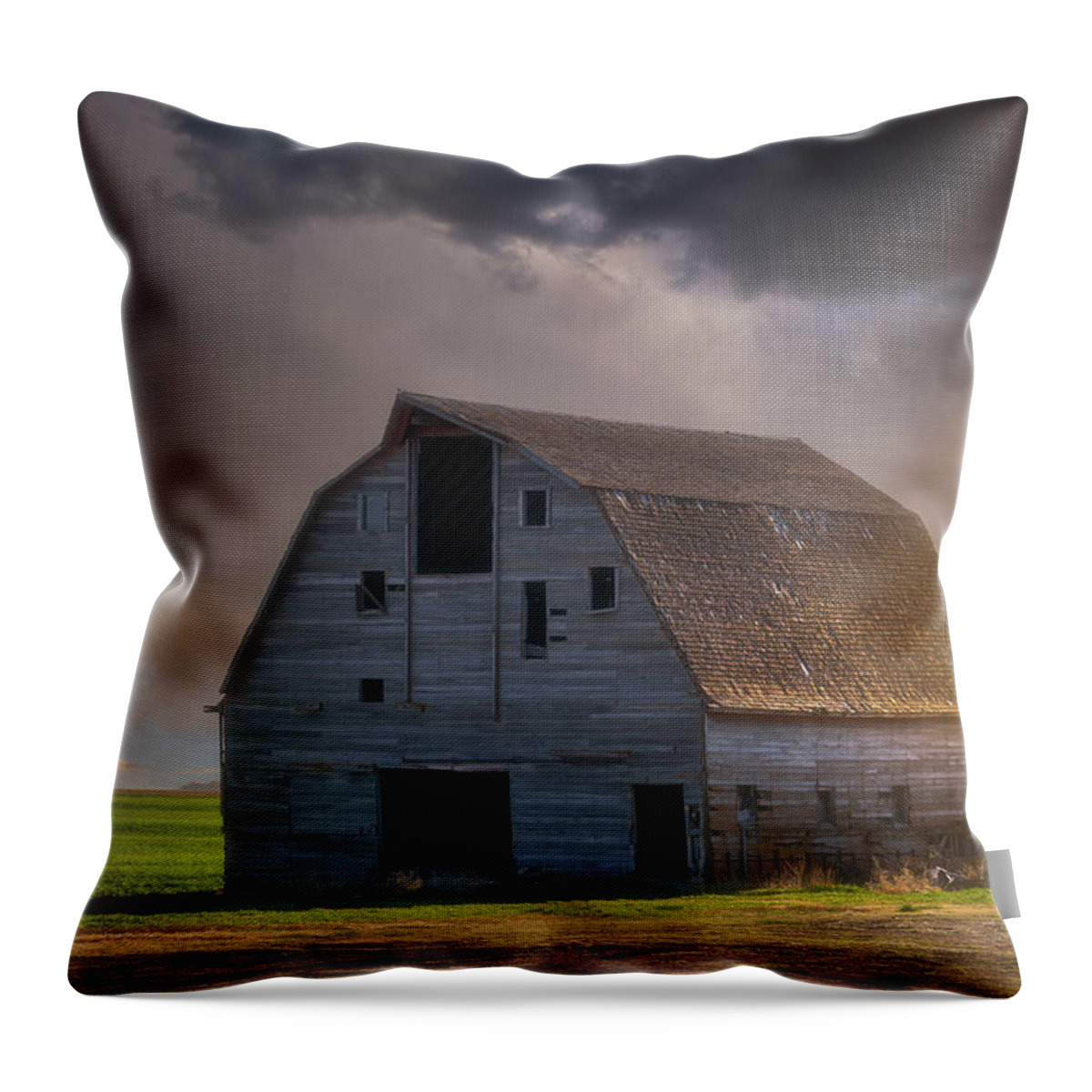 Kansas Throw Pillow featuring the photograph Standing Up To the Storm by Darren White
