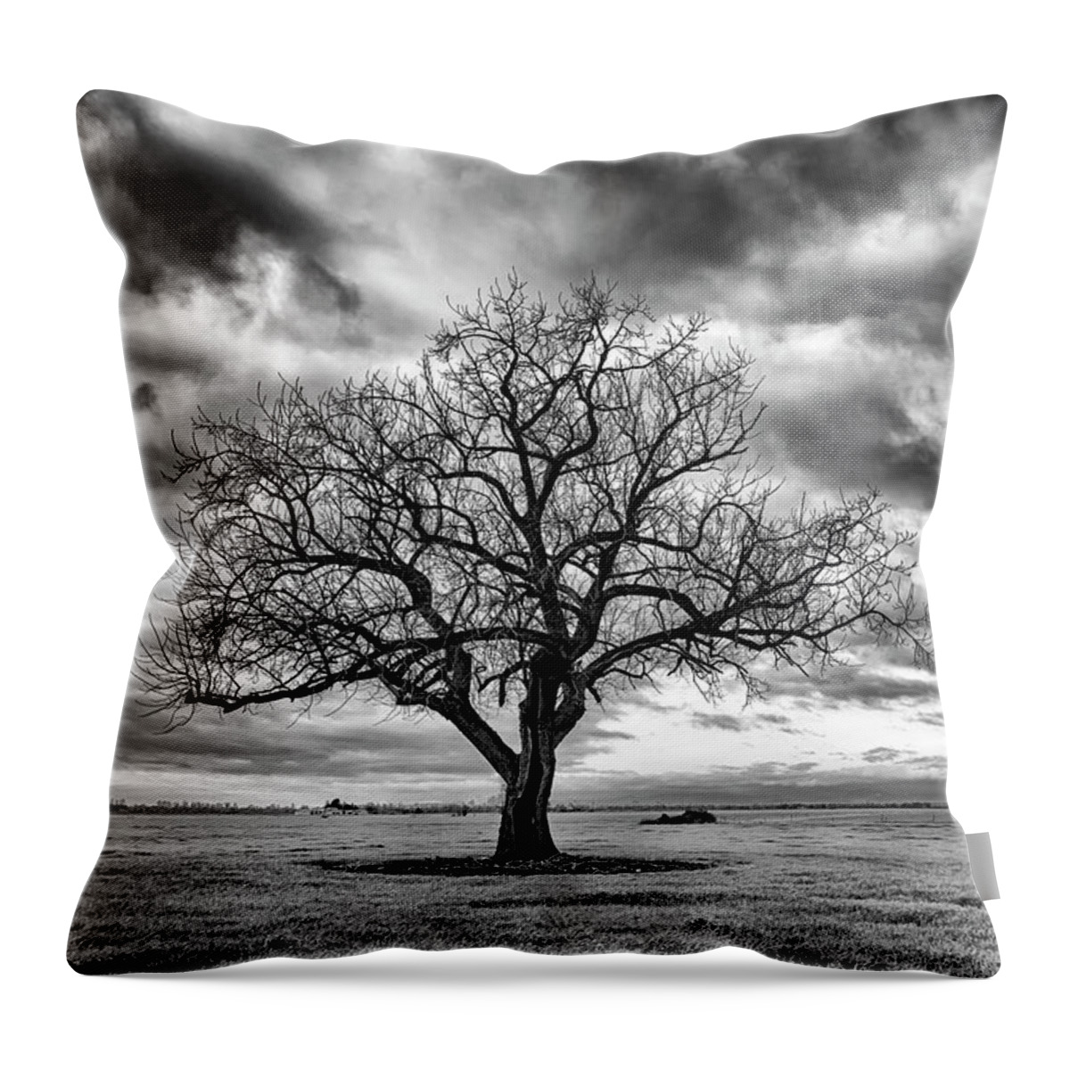 Country Images Throw Pillow featuring the photograph Standing Watch by Steven Clark