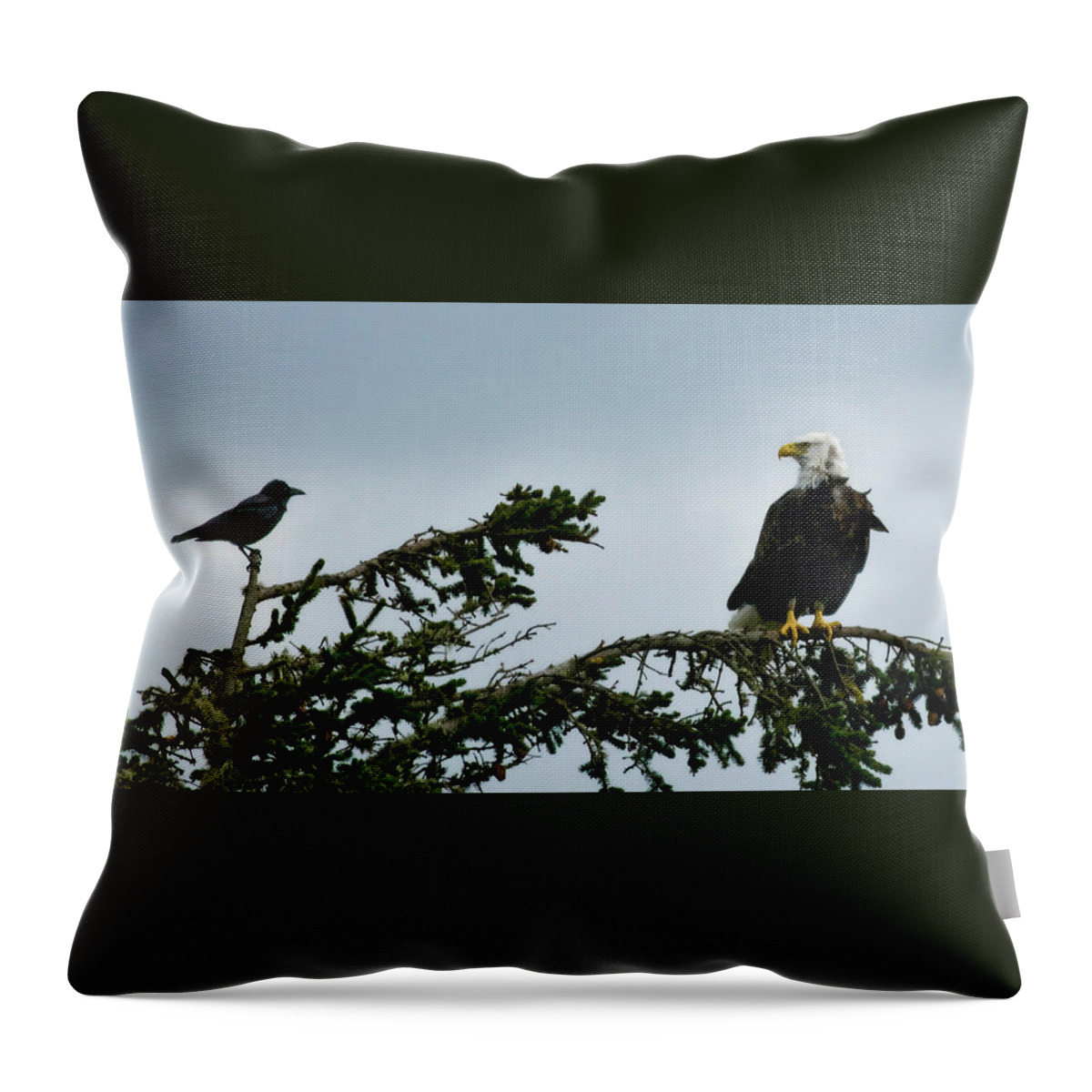 Bald Eagle Throw Pillow featuring the photograph Stare Down by Betty Depee