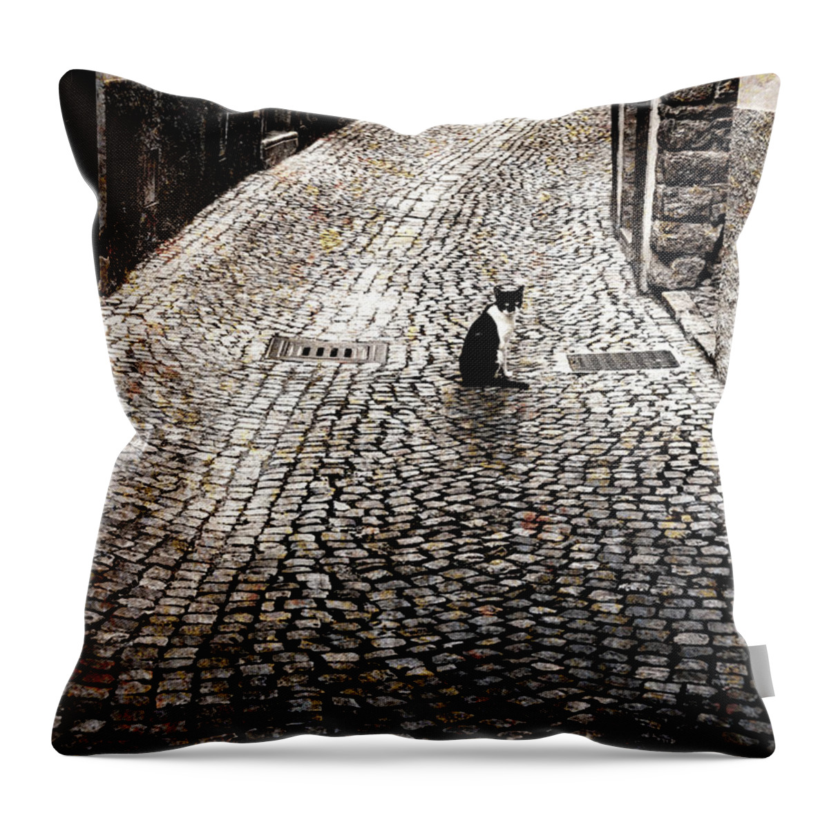 Italy Throw Pillow featuring the photograph Stare by Mark Gomez