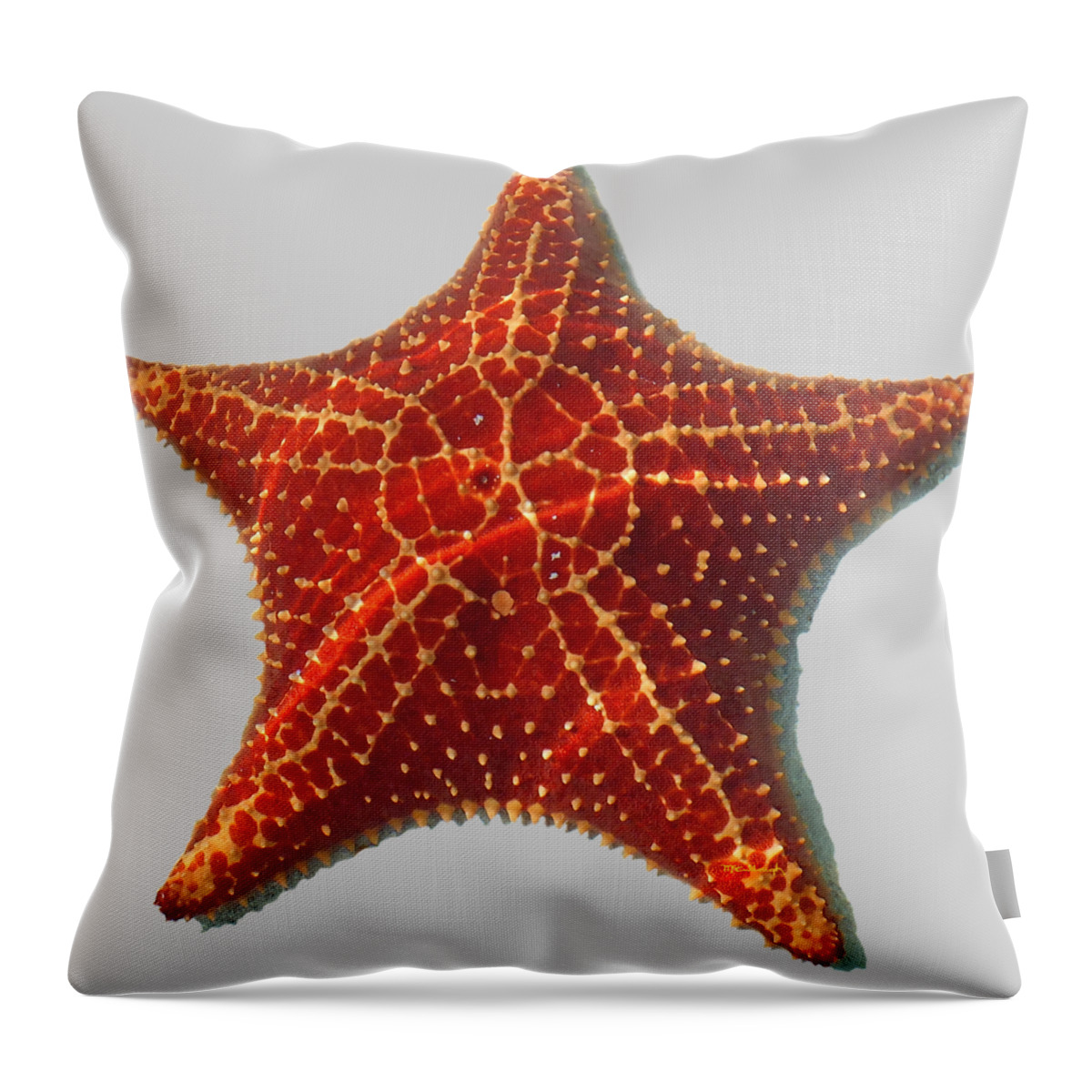 Duane Mccullough Throw Pillow featuring the photograph Starfish Clear by Duane McCullough