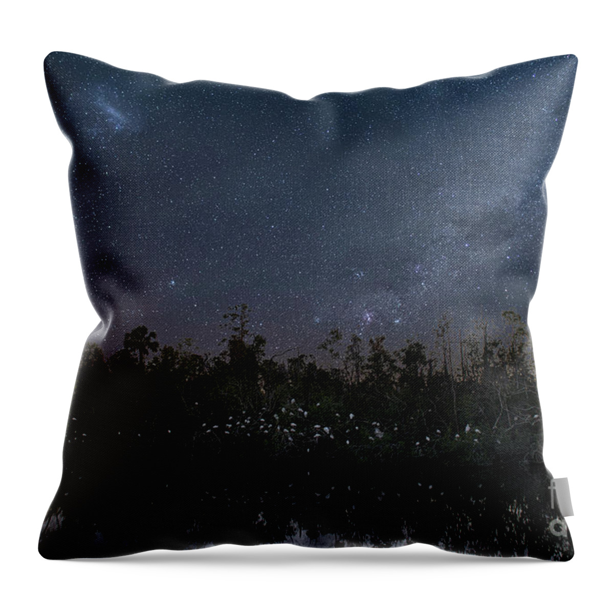Rookery Throw Pillow featuring the photograph Starry Night - Bird Sanctuary by Dale Powell