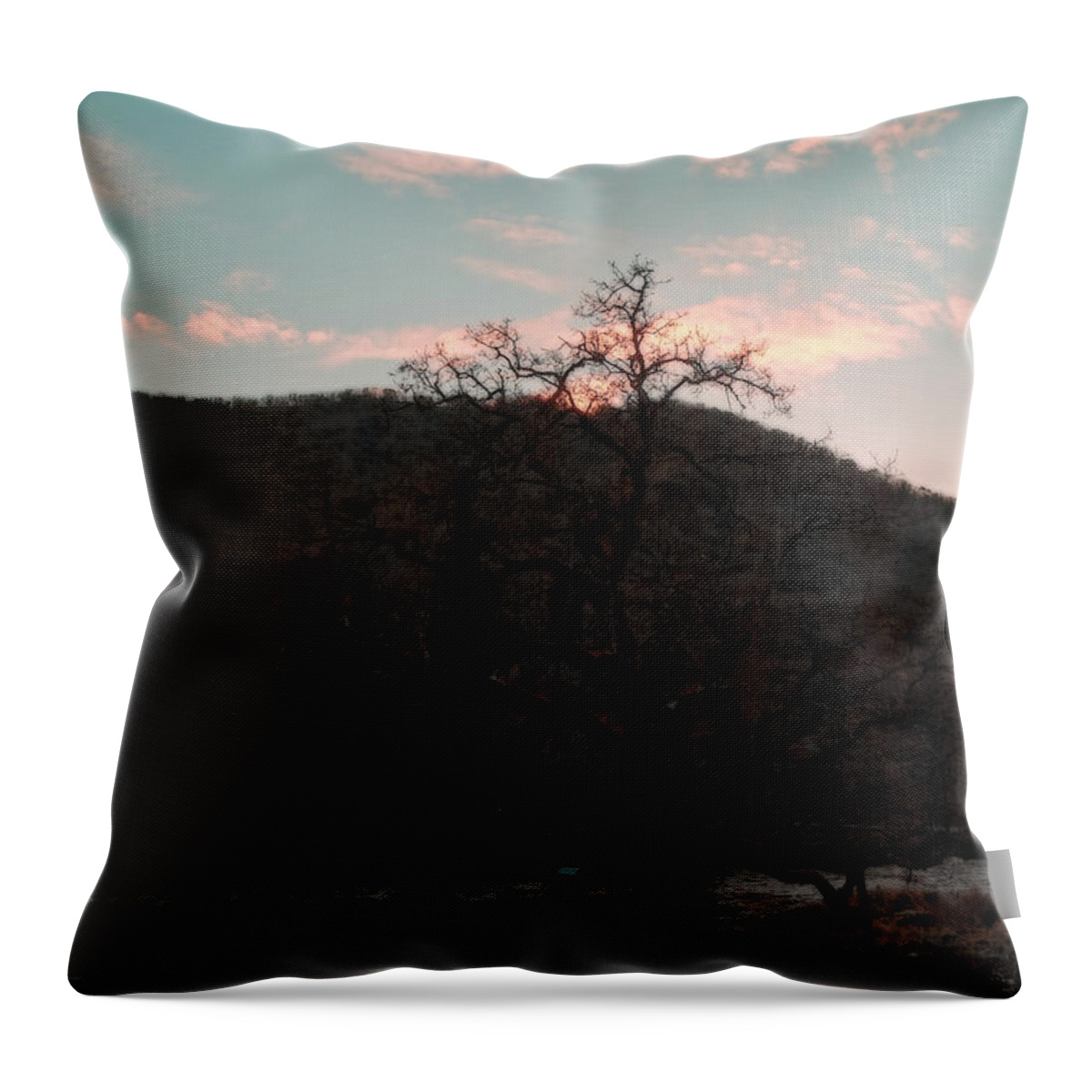 Morning Throw Pillow featuring the photograph Start of the Day by Theresa Fairchild