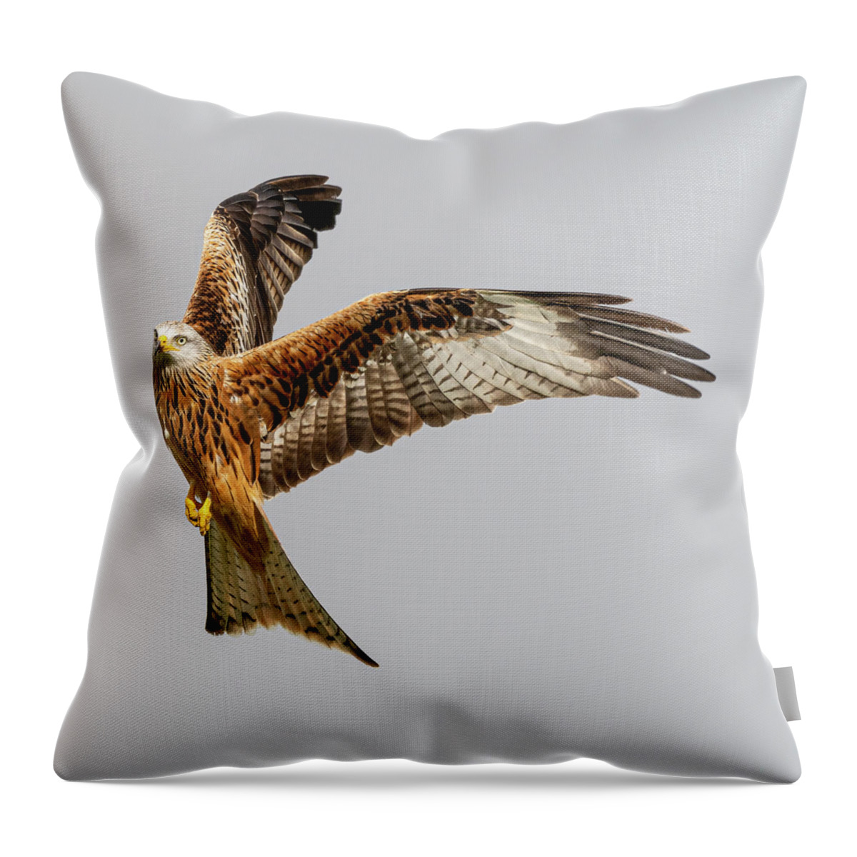 Red Kite Throw Pillow featuring the photograph Startled Red Kite by Mark Hunter