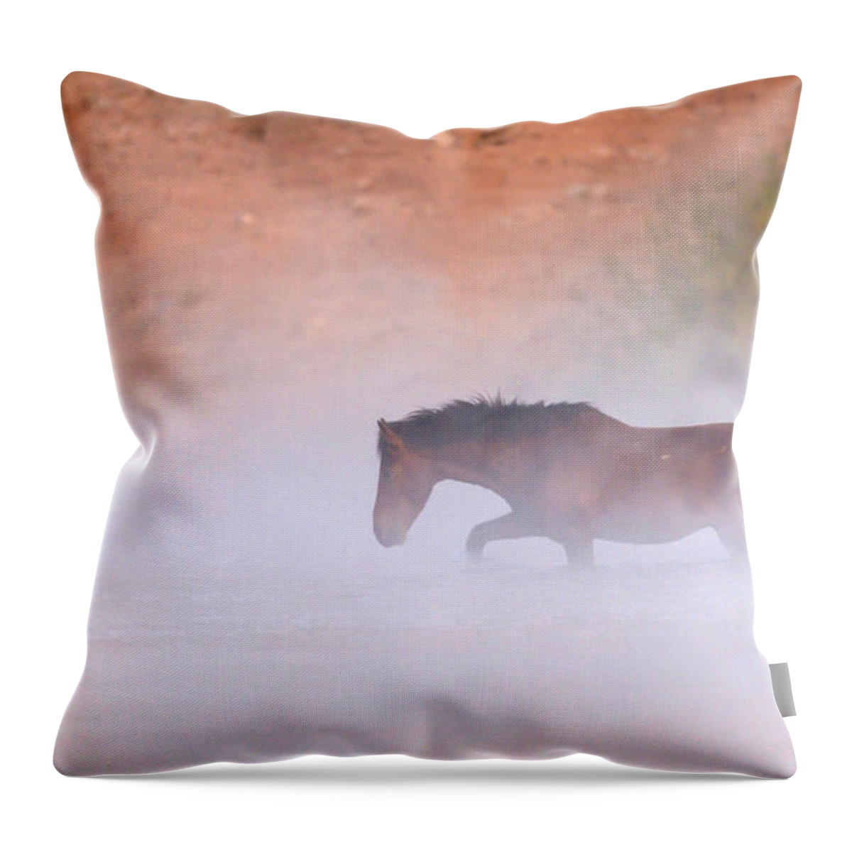 Stallion Throw Pillow featuring the photograph Steamy Crossing. by Paul Martin