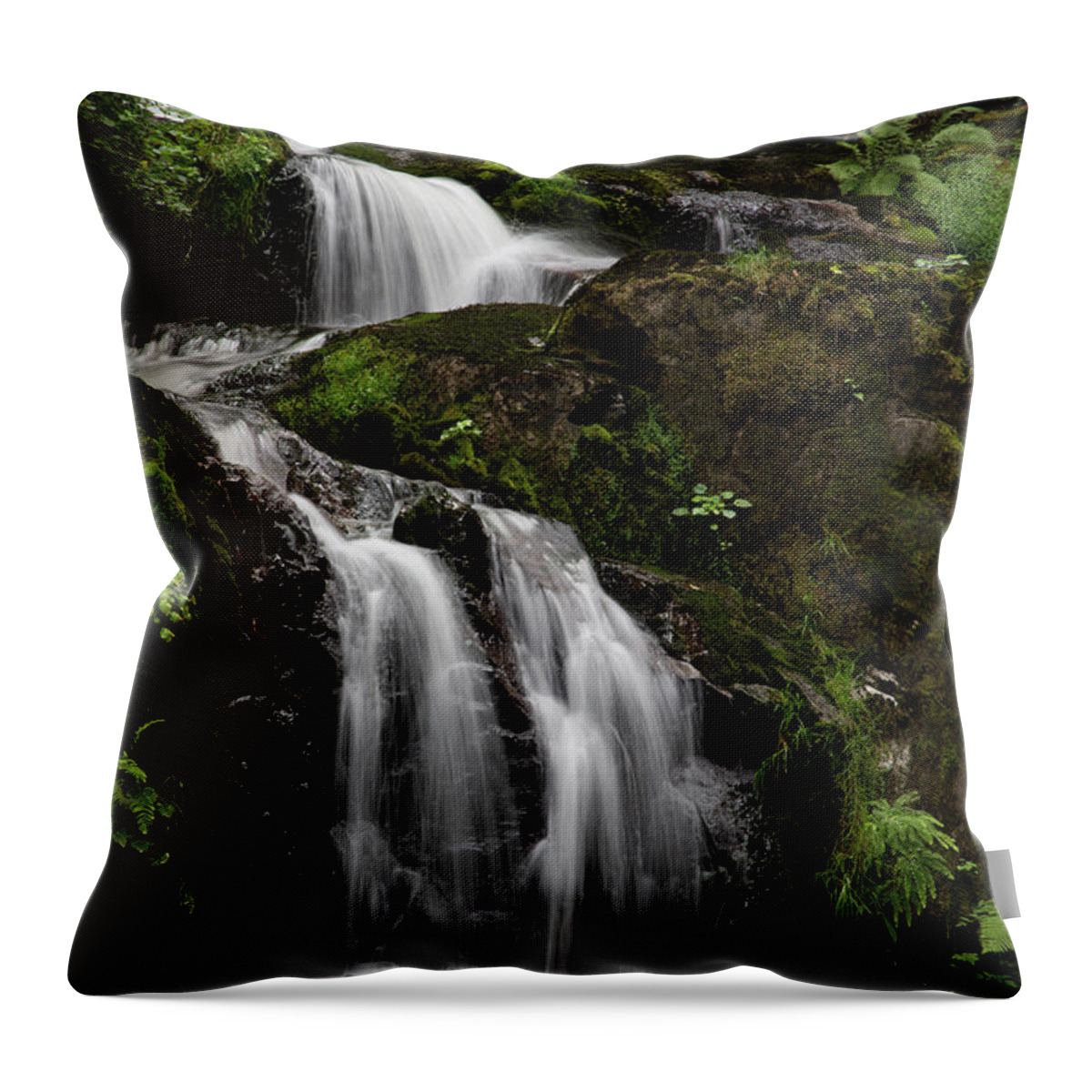 Waterfalls Throw Pillow featuring the digital art Steelhead Falls by Phil Dyer