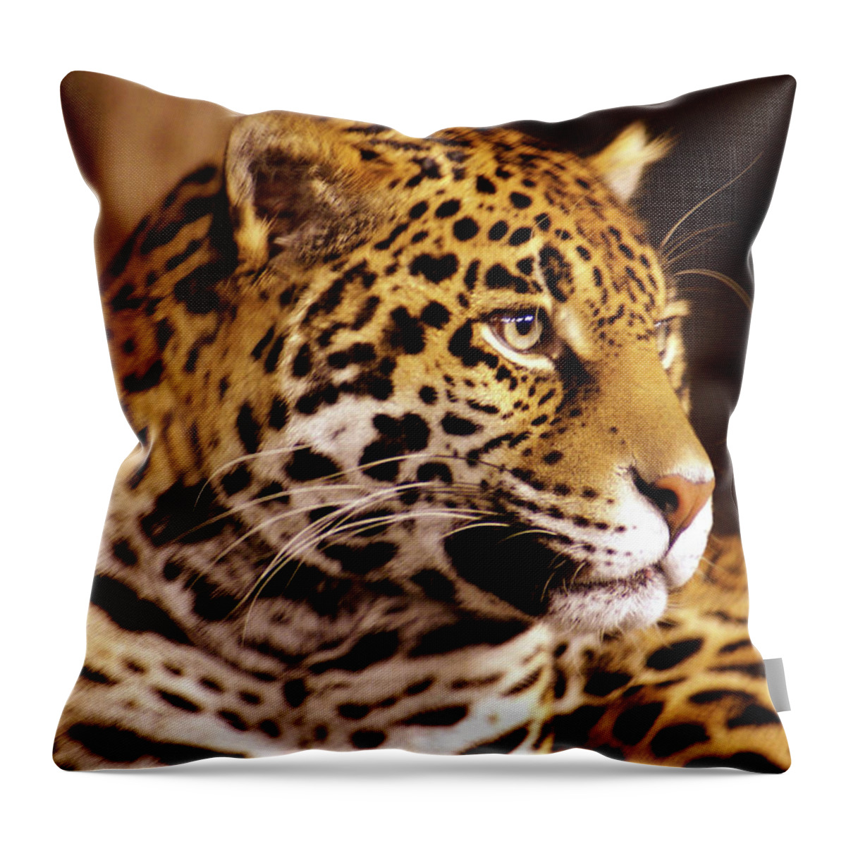 Milwaukee County Zoo Throw Pillow featuring the photograph Stella, profile by Deb Beausoleil