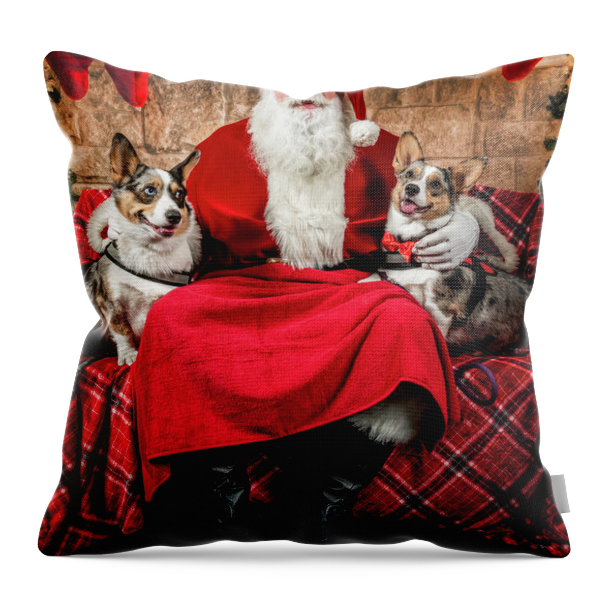 Sidney Throw Pillow featuring the photograph Steve-O and Sidney with Santa. by Christopher Holmes