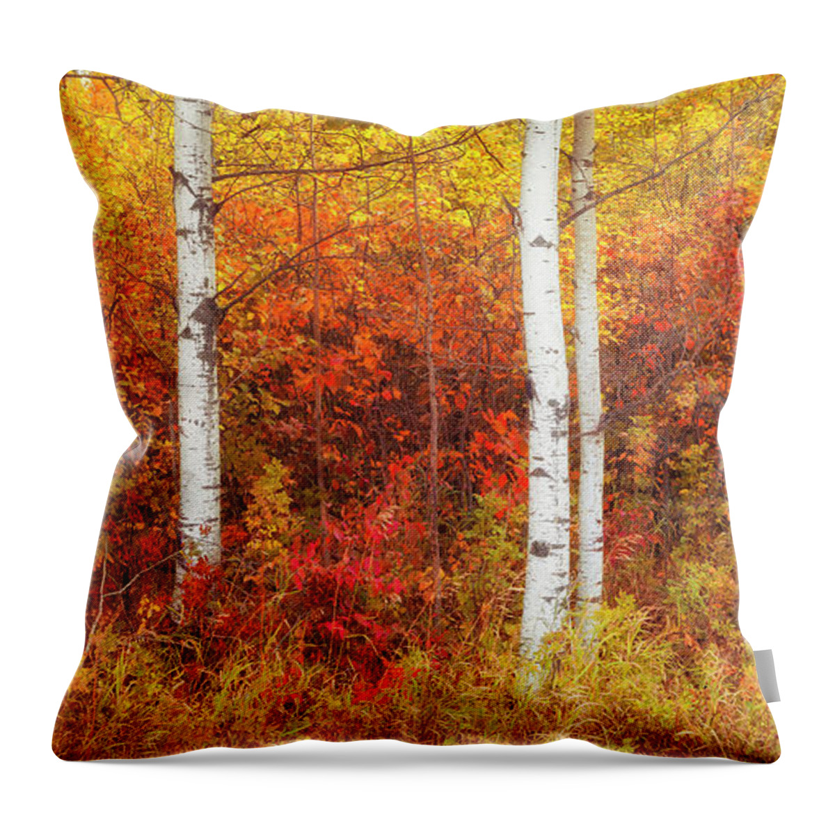 Birch Throw Pillow featuring the photograph Still Amongst the Leaves by RicharD Murphy