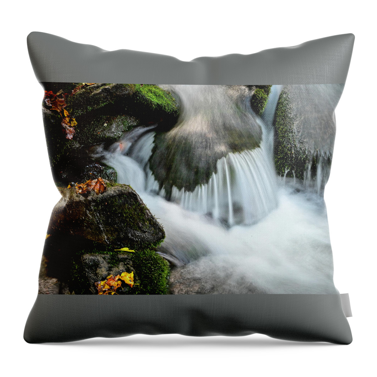 Nature Throw Pillow featuring the photograph Stilled waterfall by Ed Stokes