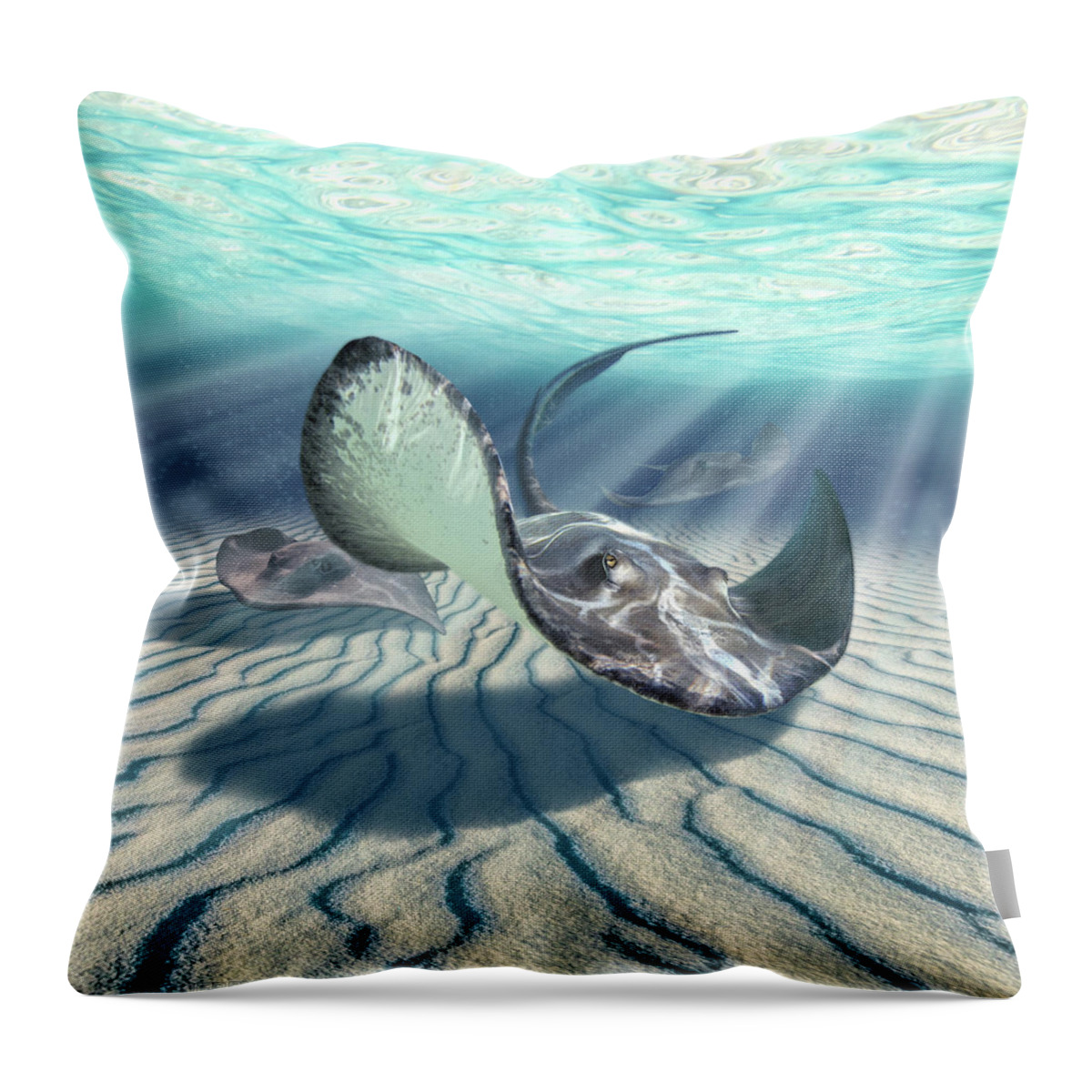Stingrays Throw Pillow featuring the digital art Stingrays by Jerry LoFaro