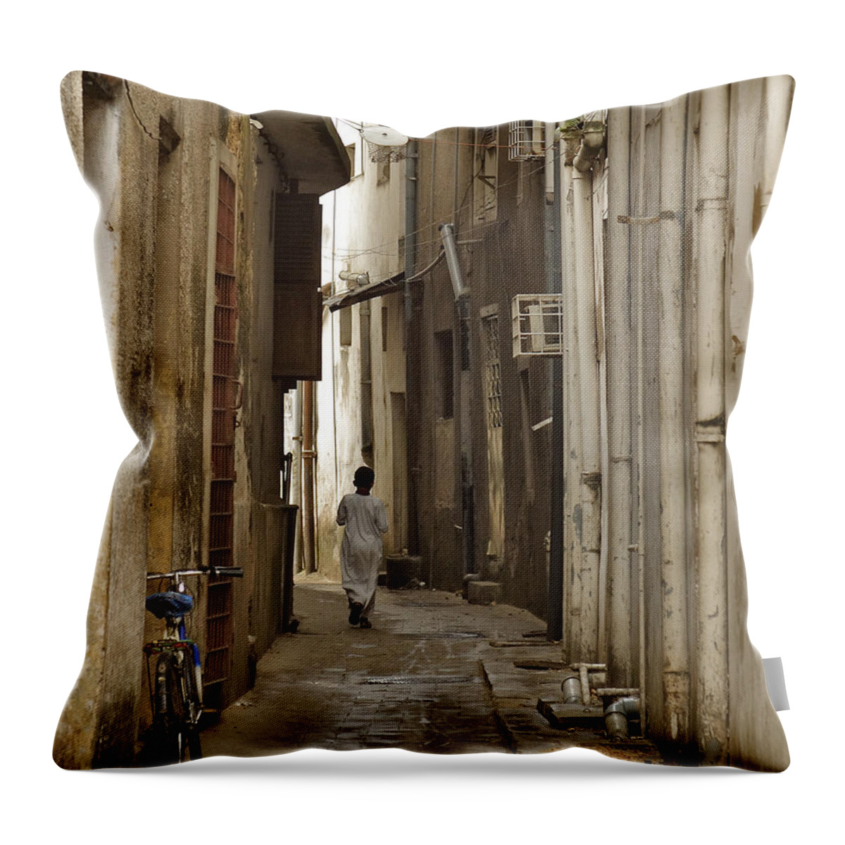 3scape Throw Pillow featuring the photograph Stone Town by Adam Romanowicz