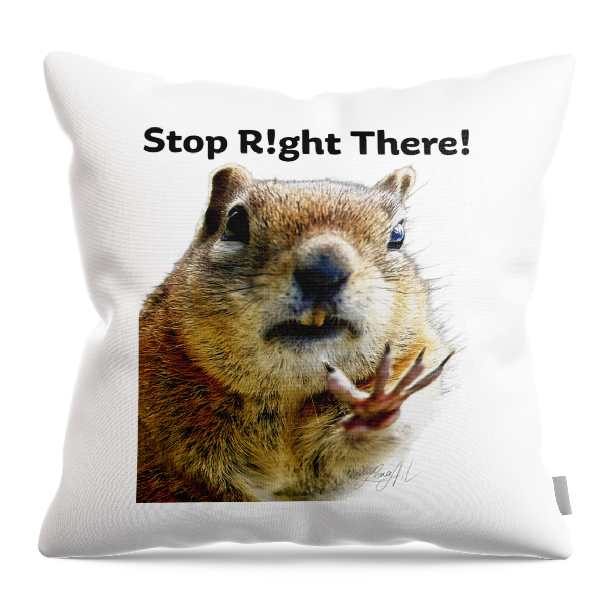 Talk To The Hand Throw Pillow featuring the photograph Stop Right There - Chipmunk Body Language with Typography by Lena Owens - OLena Art Vibrant Palette Knife and Graphic Design