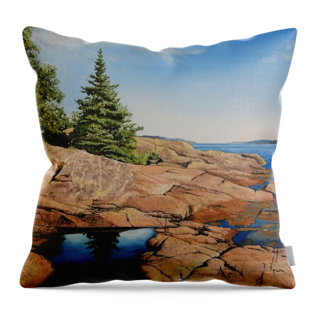 Landscape Throw Pillow featuring the painting Stories in Stone by Karen Richardson