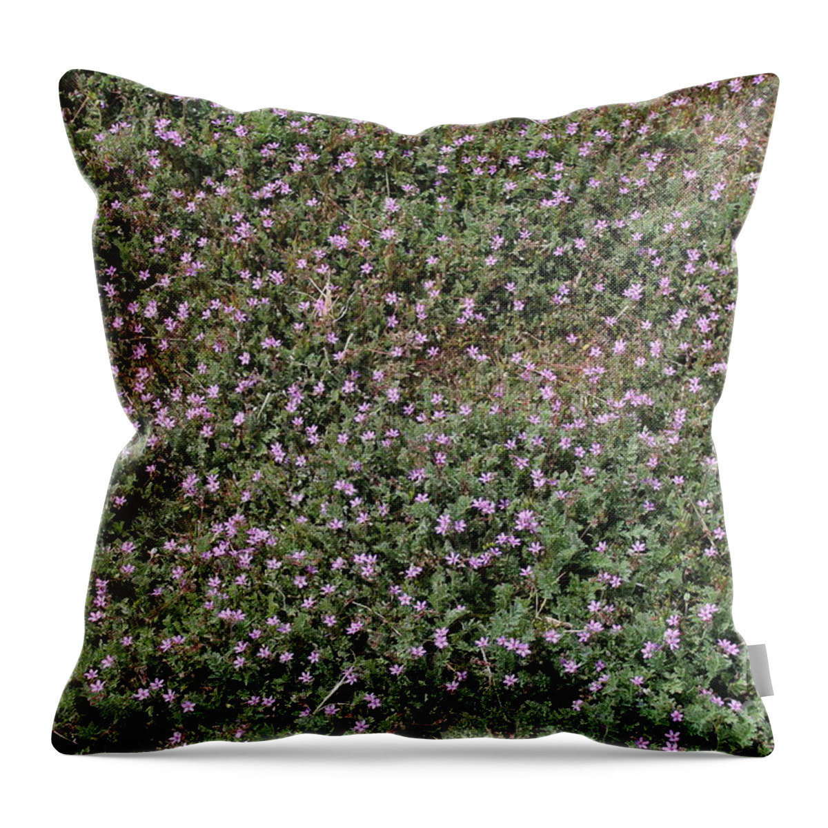 Purple Throw Pillow featuring the photograph Storksbill by Doug Miller