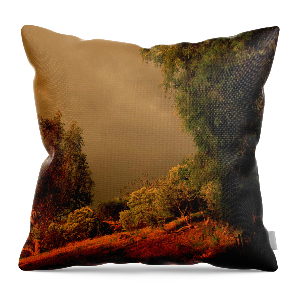 Weather Throw Pillow featuring the photograph Storm cloud cantata by Eyes Of CC