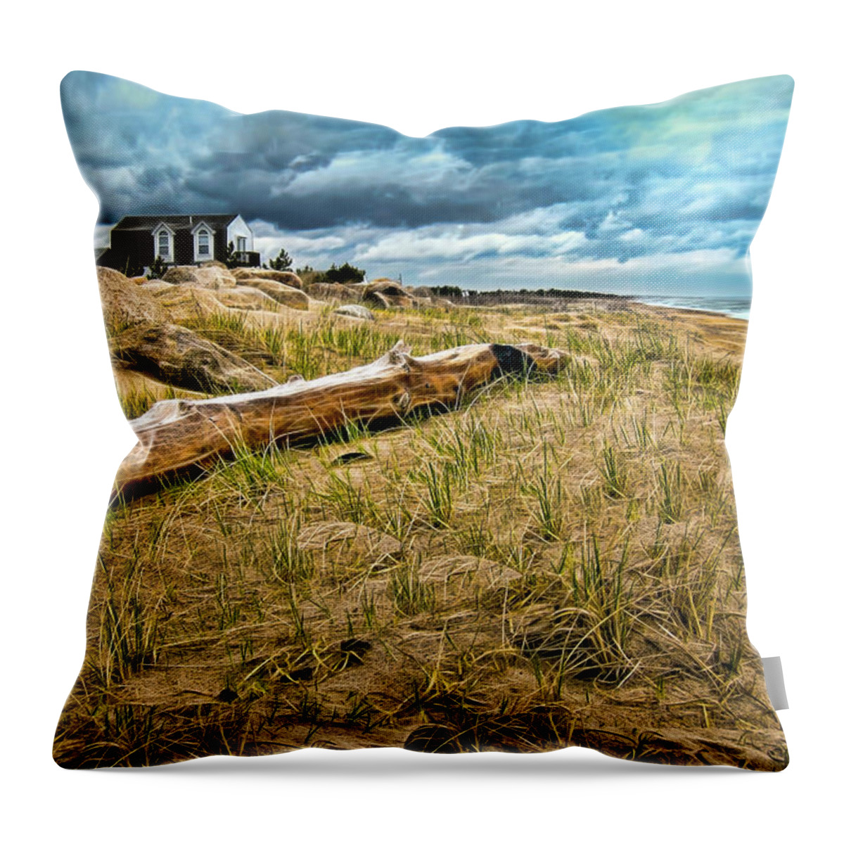 Ocean Throw Pillow featuring the photograph Storm clouds at beach by Cordia Murphy